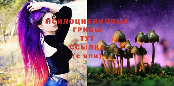 первитин Ладушкин