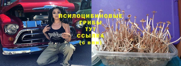 первитин Ладушкин