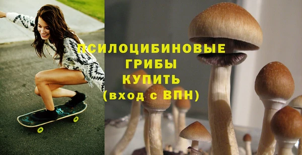 альфа пвп Куйбышев